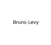 Bruno Levy - Logo