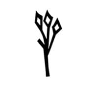Tree Arquitetura + Design - Logo