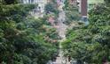 Urbanização da Avenida Brasil