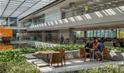 NASP - Sede Administrativa NATURA São Paulo