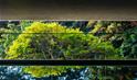 NASP - Sede Administrativa NATURA São Paulo