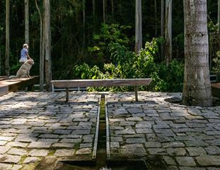 Imagens de Jardins externos