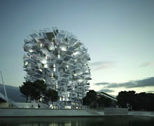 L´Arbre Blanc