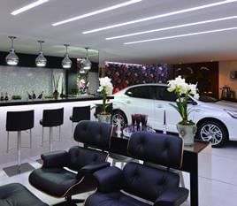 Garagem de Luxo da Mulher Moderna