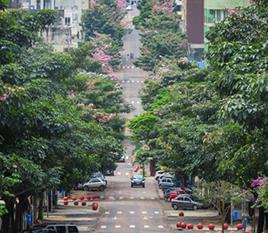 Urbanização da Avenida Brasil