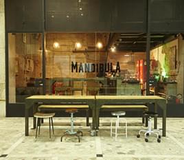 Mandíbula