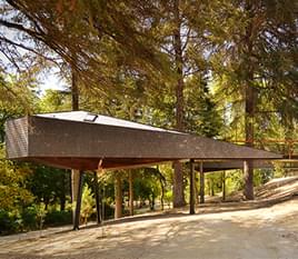 Snake Tree Houses