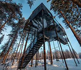 The 7th Room - Tree Hotel