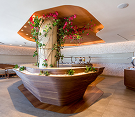 Star Alliance Lounge