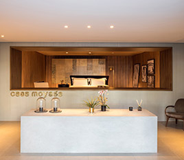 Casa Moysés