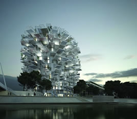 L´Arbre Blanc