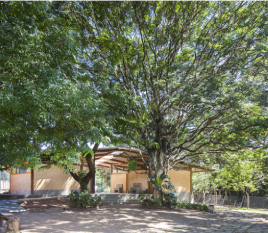 Escola Waldorf Ecoara