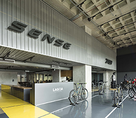 Showroom Sense Bike