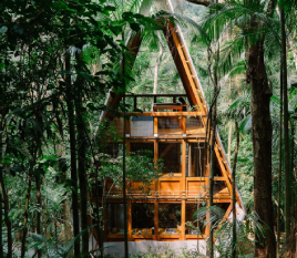 Casa Macaco