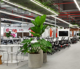 Collab CdD Bradesco - Bioma