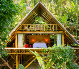 Casa Trikona