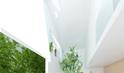 Mille Arbres