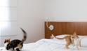 Apartamento 9 de julho