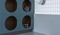 Quarto Dudu