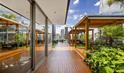 Baleia Rooftop